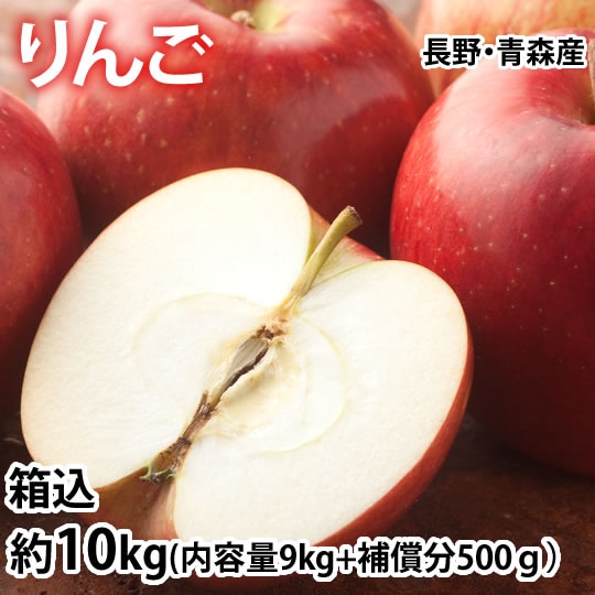 【箱込約10kg】りんご《個数・品種おまかせ》