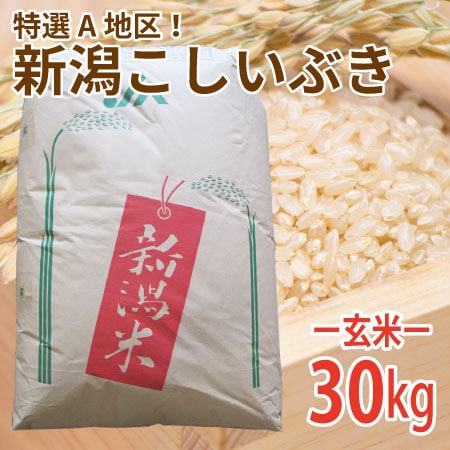 【30kg (30kg×1袋)】令和7年産  新米 玄米 大人気！新潟県上越産こしいぶき (玄米)