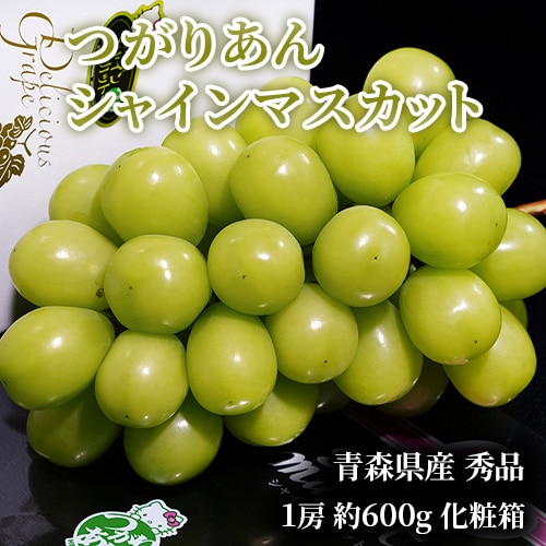 【約600g/1房】青森県産 つがりあんシャインマスカット 化粧箱入り【冷蔵】