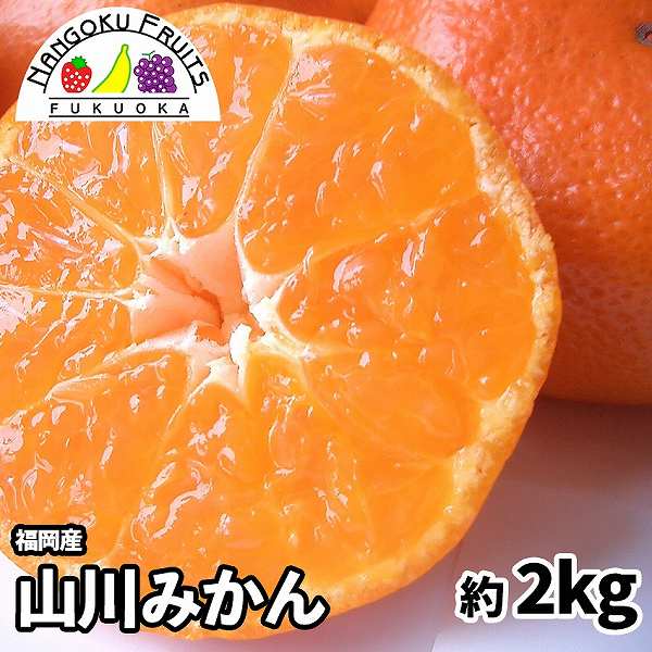 【予約受付】11月上旬~順次出荷【福岡】約2kg　山川みかん