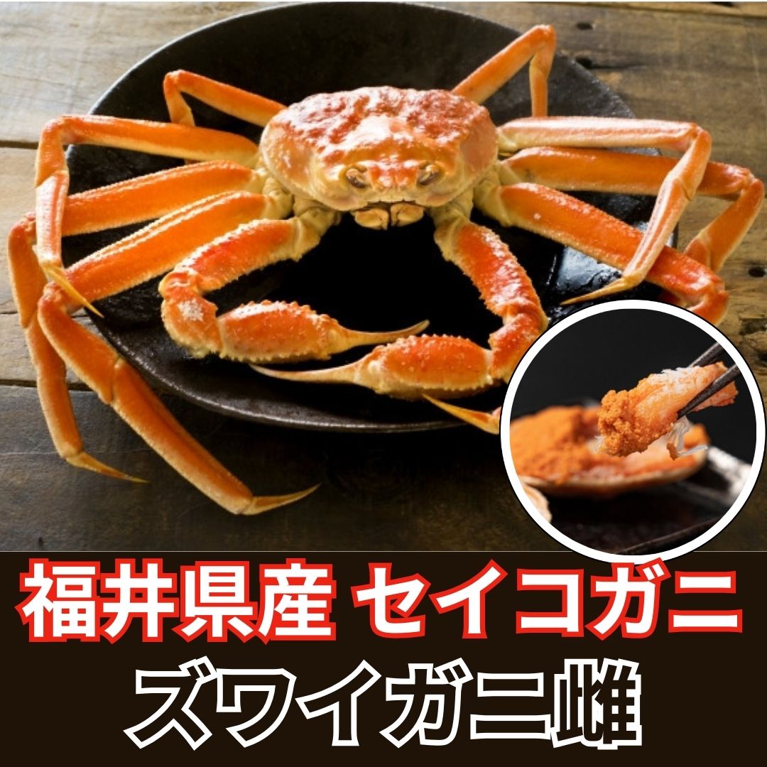 【計約500g/約100g×5杯】福井県産 セイコガニ 小サイズ 浜ゆで冷凍
