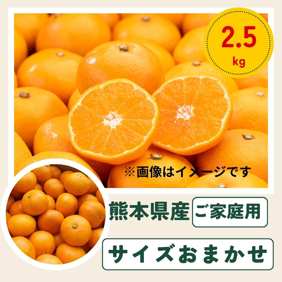 【2.5kg】熊本みかんサイズおまかせ(ご家庭用)