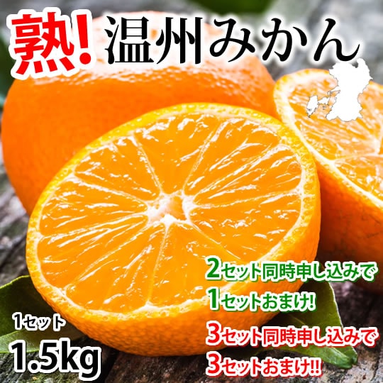 【予約受付】11/20~順次出荷【1.5kg】温州みかん 熊本県産 (ご家庭用・傷あり)