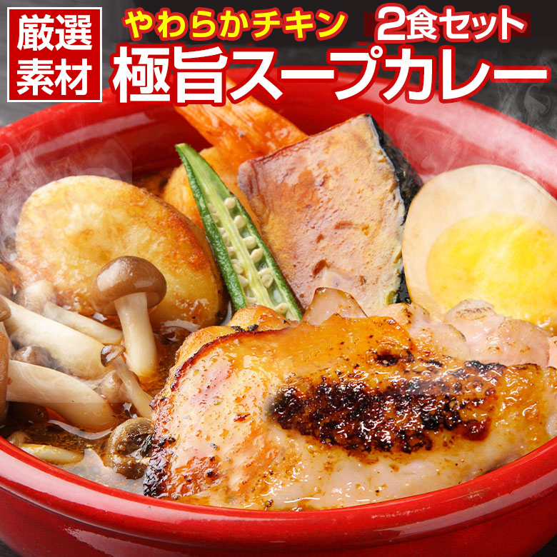 【2食（260g×2袋）】北海道極旨 やわらかチキンスープカレー【B】