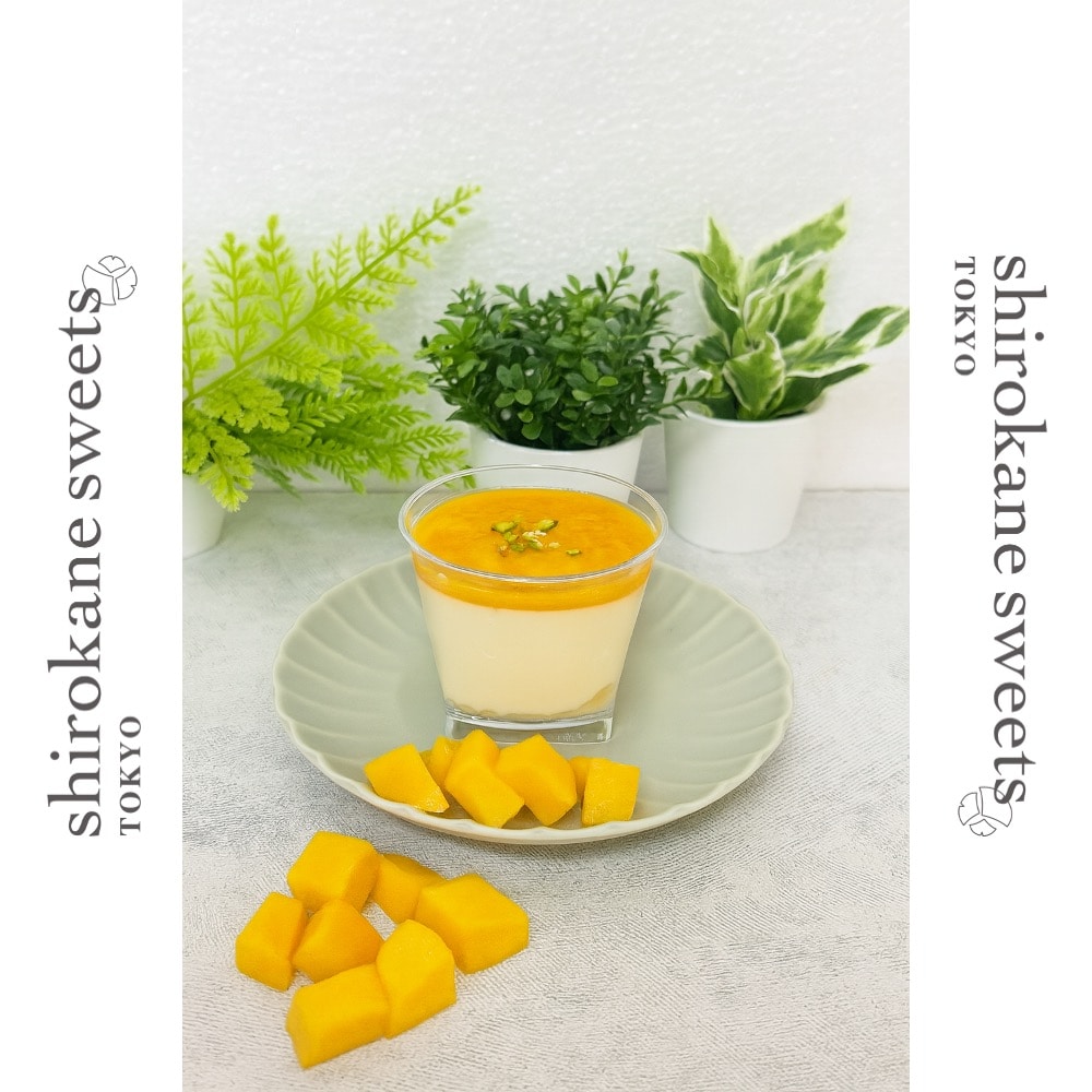 【115g×6個】shirokane sweets TOKYO  白金クリームケーキ（マンゴー）