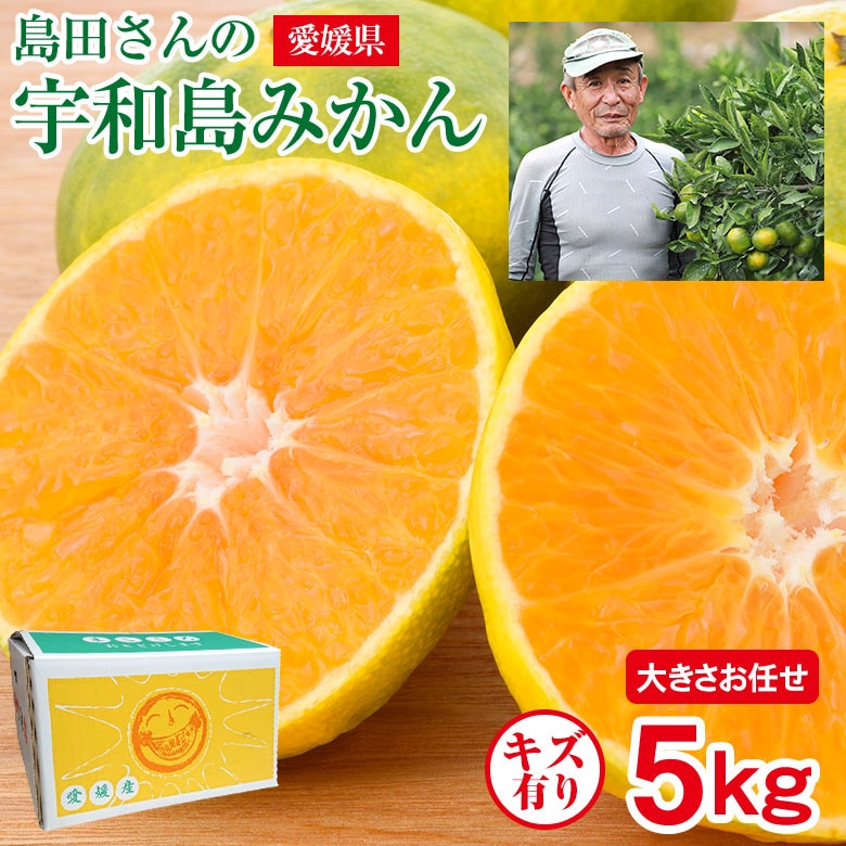 【予約受付】11/1~順次出荷【5kg】愛媛県産 宇和島みかん (ご家庭用、傷あり)