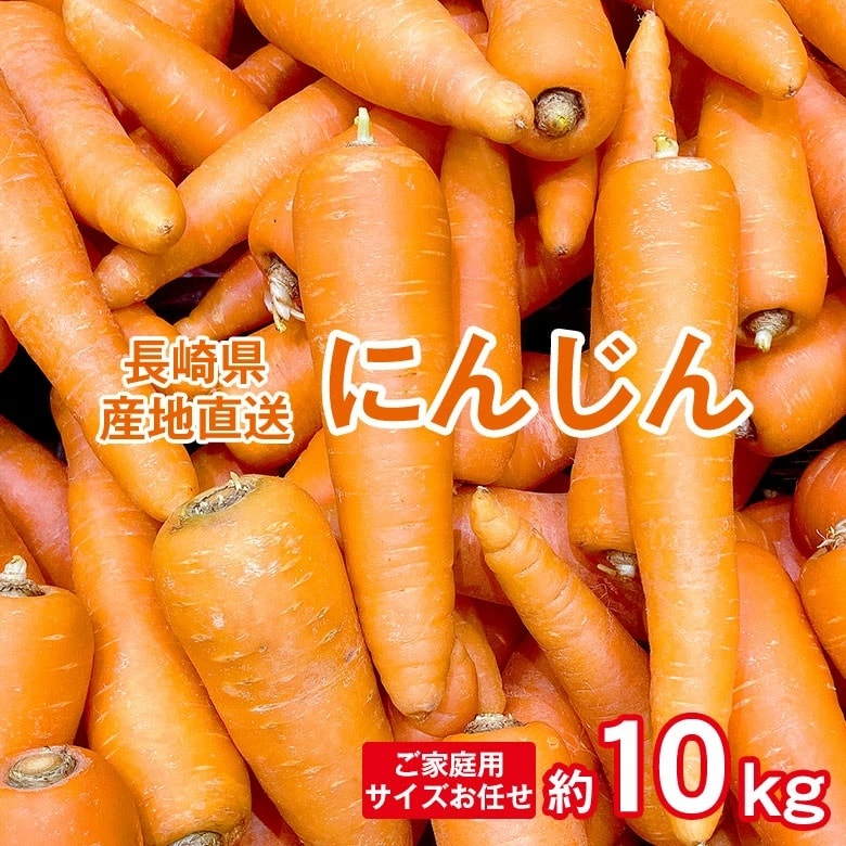 【予約受付】11/10~順次出荷【約10kg】長崎にんじん （ご家庭用）