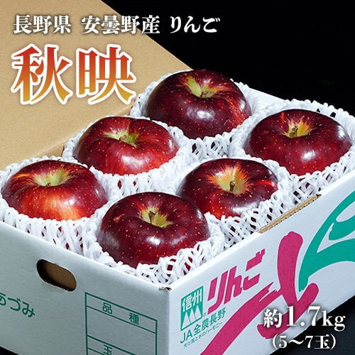 【約1.7kg(5〜7玉)】長野県安曇野産りんご『秋映』