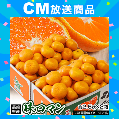【予約受付】11/24~順次出荷【約計5kg/約2.5kg×2箱】長崎県産 極甘みかん 味ロマン