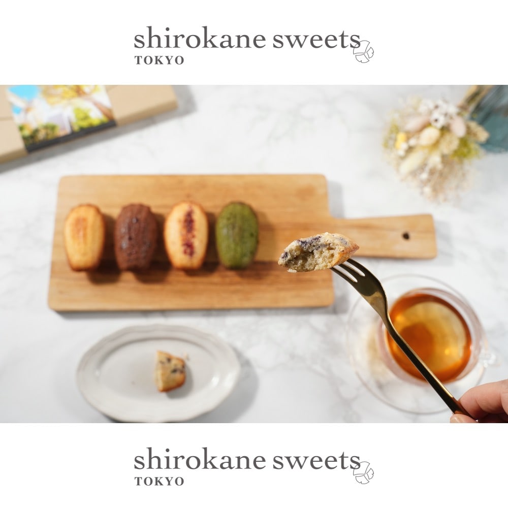 【4個】shirokane sweets TOKYO  白金マドレーヌ（ブルーベリー）