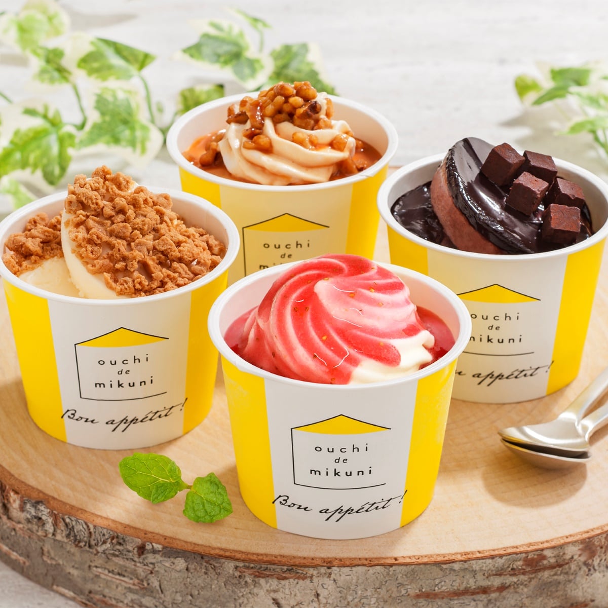 【10個】三國清三監修　北海道リッチアイス