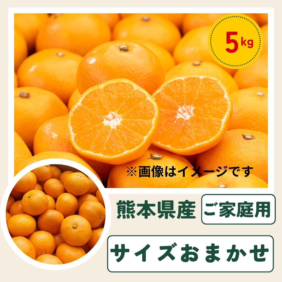 【5kg】熊本みかん サイズおまかせ(ご家庭用)