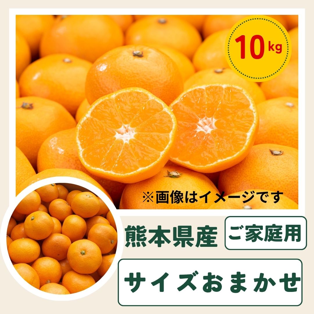 【10kg】熊本みかん サイズおまかせ(ご家庭用)