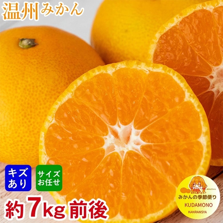 【予約受付】11/1~順次出荷【約7kg前後】厳選 温州みかん(傷あり)