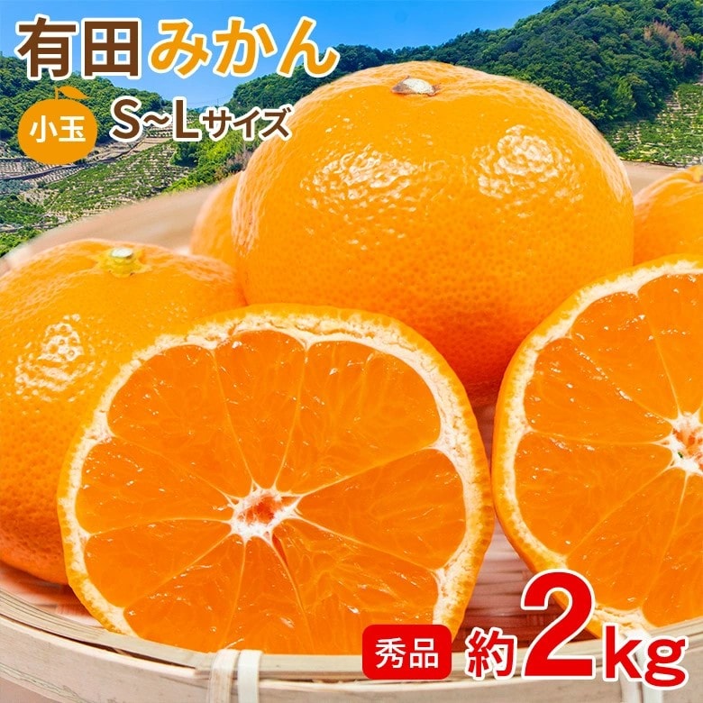 【予約受付】11/5~順次出荷【約2kg/S~Lサイズ】《秀品》和歌山県産 有田みかん