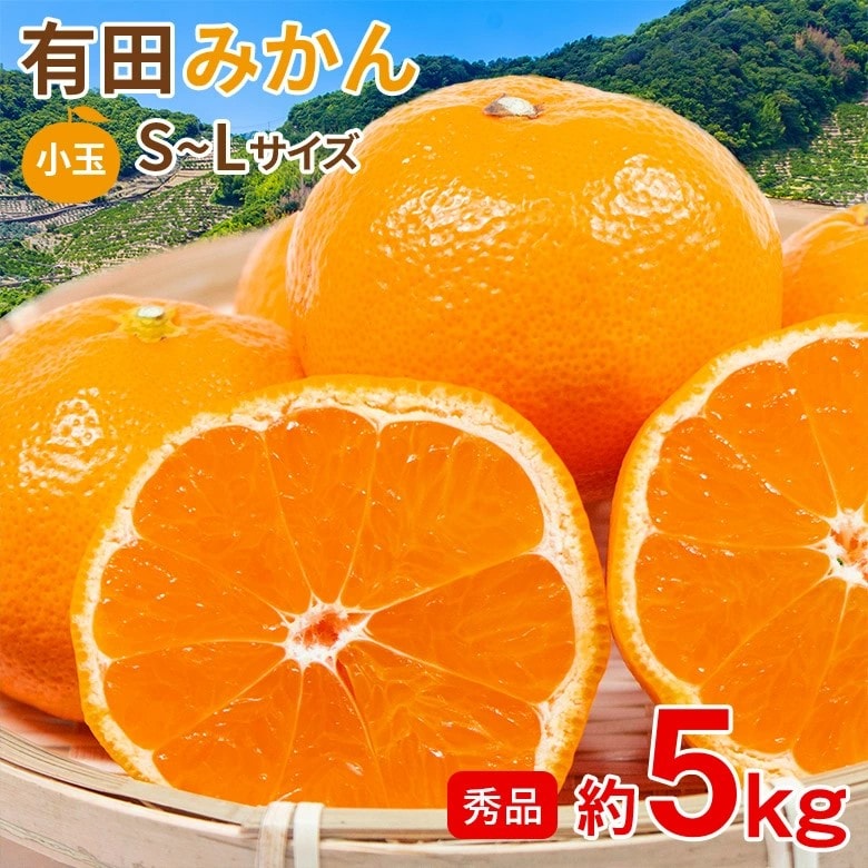 【予約受付】11/5~順次出荷【約5kg/S~Lサイズ】《秀品》和歌山県産 有田みかん