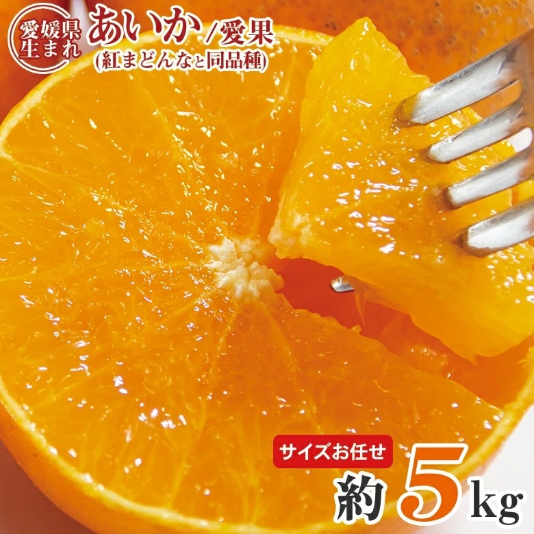 【予約受付】11/25~順次出荷【約5kg(サイズお任せ)】あいか・紅まどんな同等品種 (ご家庭用)