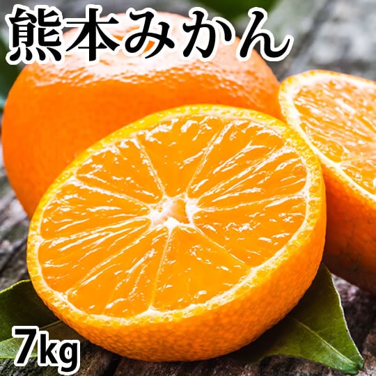 【予約受付】10/9~順次出荷【7kg】熊本みかん  極早生(ご家庭用・傷あり)