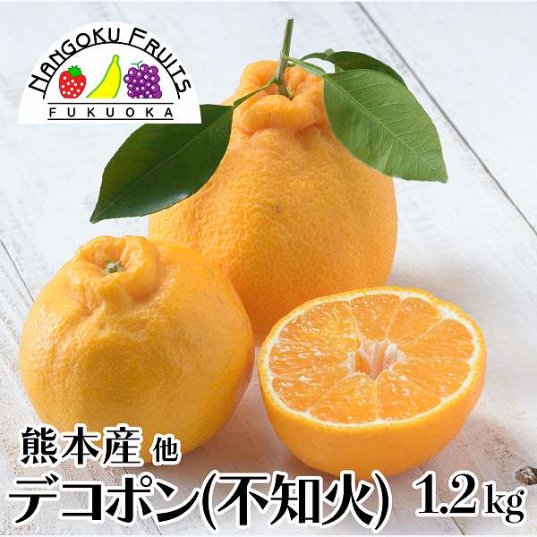 【予約受付】12月中旬~順次出荷【熊本他】1.2kg　デコポン(不知火)