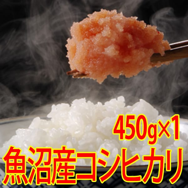 【450g×1袋】令和7年産 新米  魚沼十日町産コシヒカリ