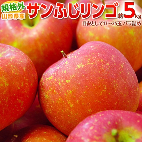 【予約受付】11/1~順次出荷【約5kg(目安として13〜25玉)】規格外 サンふじりんご