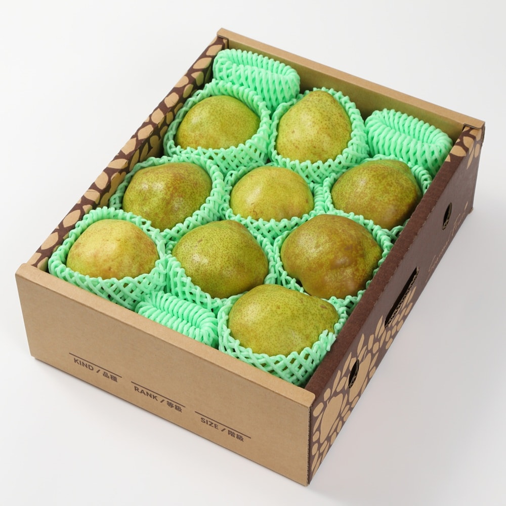 【予約受付】11/20~順次出荷【約3kg/8個~12個】山形県 ラフランス 《秀品》