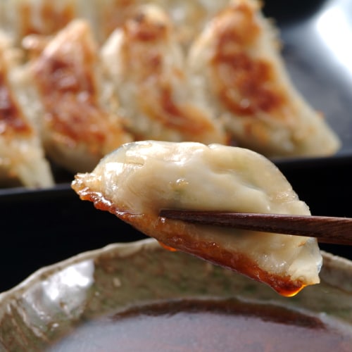 【計75個(15個×5パック)】黒豚ひとくち餃子