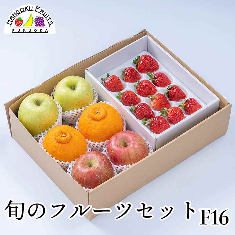 【予約受付】12月中旬~順次出荷　 旬のフルーツセットF16(赤林檎・青林檎・柑橘・苺)