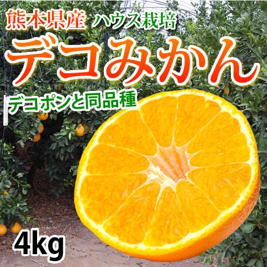 【予約受付】12/20~順次出荷【4kg】熊本県産 ハウスデコみかん（ご家庭用、傷あり）
