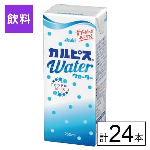 エルビー カルピスウォーター(R) 紙パック 250ml×24本