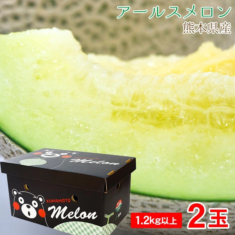 【約1.2kg/2玉】熊本県産 アールスメロン