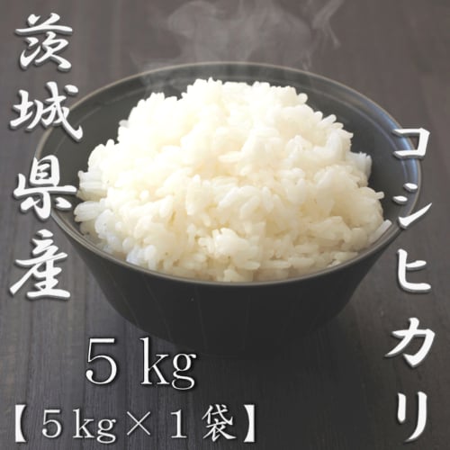 【12時】【限定100】令和7年産 茨城県産コシヒカリ 白米 5㎏ 2,000円送料無料！