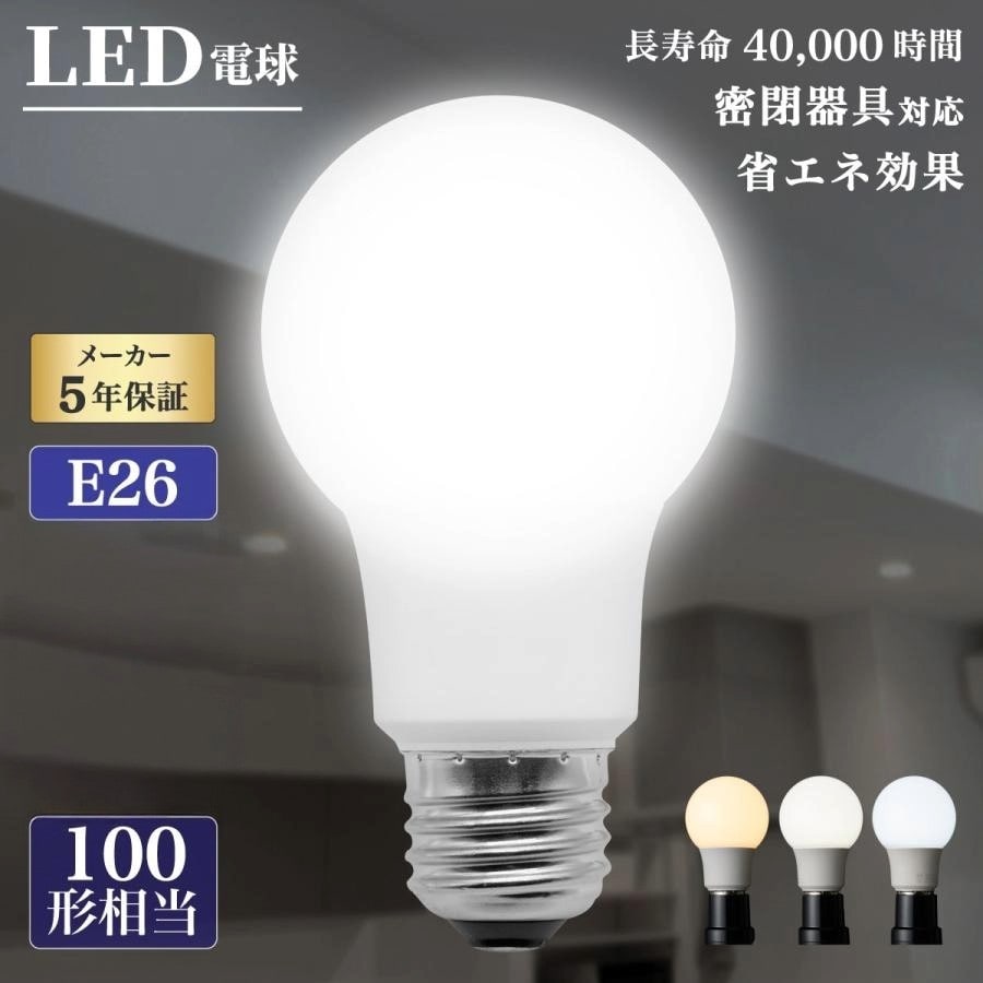 【100形／昼白色／6個セット】LED電球