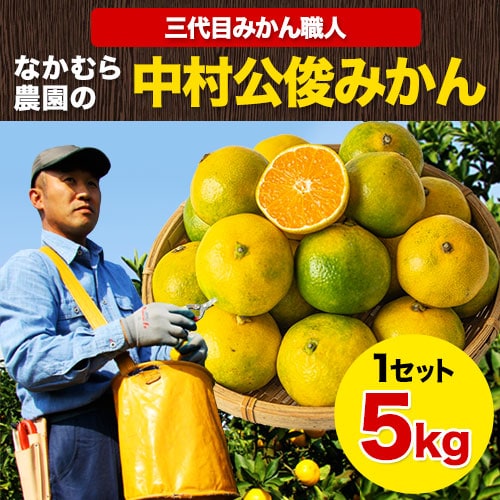 【5kg】中村みかん