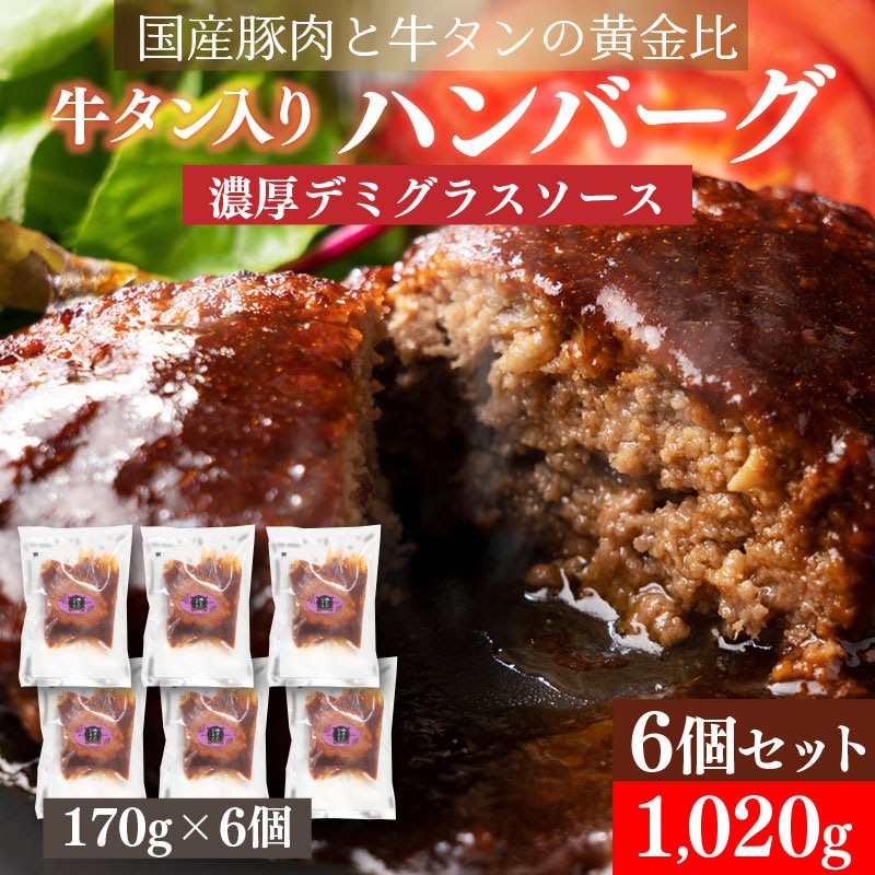 【賞味期限間近】【170g×6個】牛タン入りハンバーグ(デミグラスソース）
