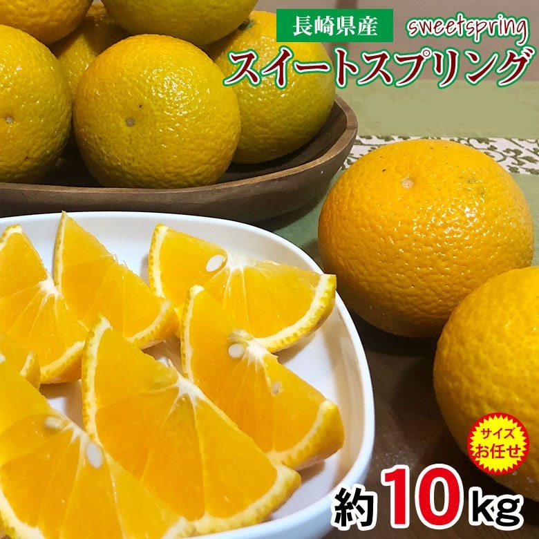 【予約受付】1/10~順次出荷【約10kg/サイズお任せ】長崎県産スイートスプリング (傷有)