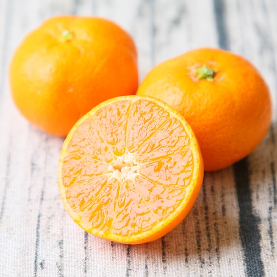 【5kg(M~2Lサイズ込)】吉田みかん ※ご家庭用・多少の枝傷・葉傷・黒点有り