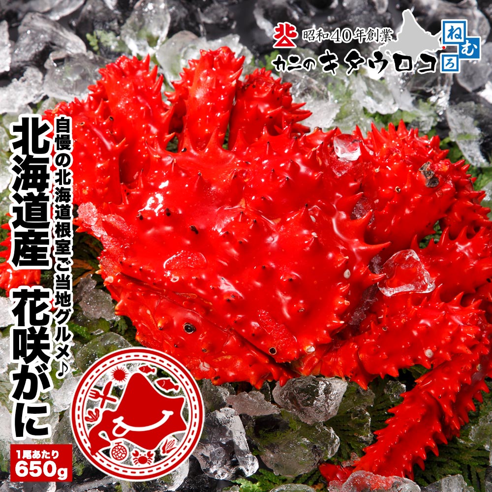【650g前後】北海道 浜茹で花咲がに ※さばき方パンフ同梱