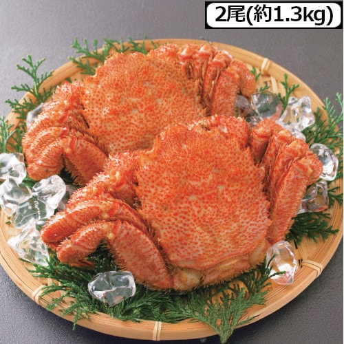 【計約1.3kg/2尾】北海道産 大型ボイル毛ガニ