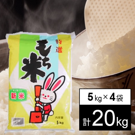 【計20kg/5kgx4袋】新米 令和7年産 もち米 山形県産 ヒメノモチ 白米