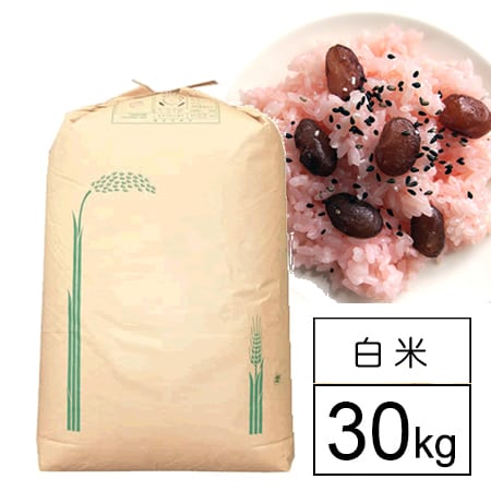 【30kg】国内産もち米 業務用 白米