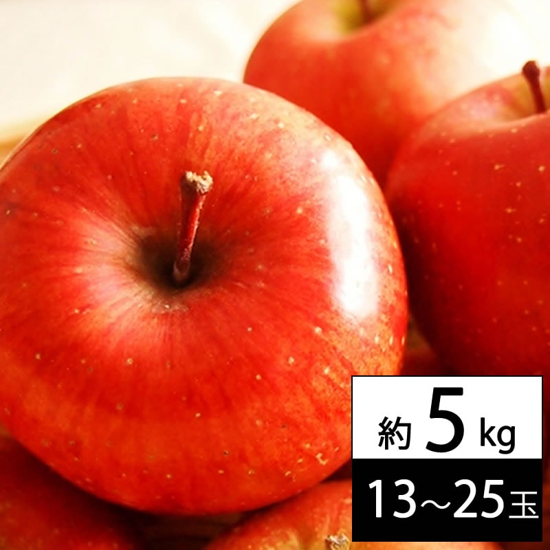【予約受付】12/5~順次出荷【約5kg(13~25玉入り)】山形県産サンふじりんご ※ご家庭用
