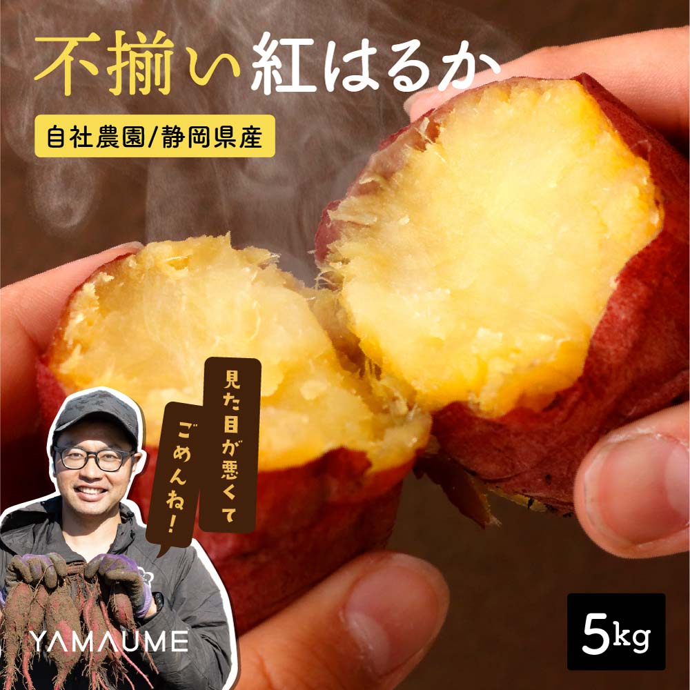 【5kg】不揃い静岡県産 ”さつまいも” 紅はるか