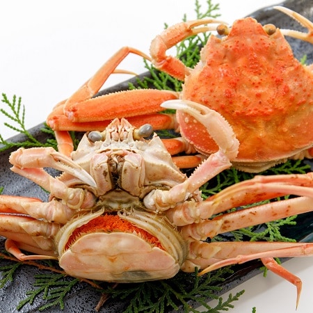 【1kg】兵庫県香住産セコガニ(ご家庭用)