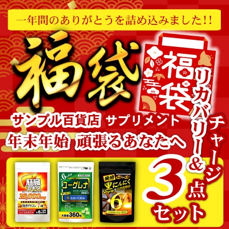 【3袋入】福袋 年末年始 頑張るあなたへ リカバリー＆チャージセット（1袋約6カ月分）
