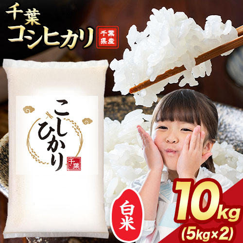 【計10kg(5kg×2)】令和6年産 千葉県産コシヒカリ 白米