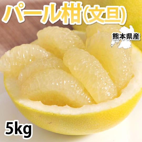 【予約受付】2/5~順次配送【5kg】熊本県産 パール柑（文旦）秀品