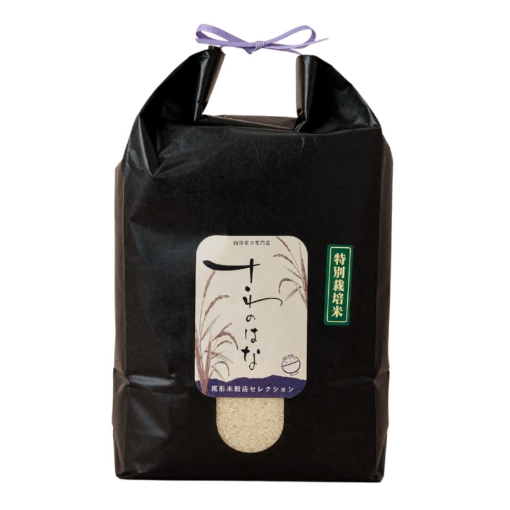 【新米】山形県産　さわのはな　令和7年産【5kg】