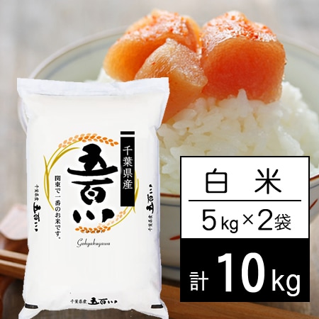 【計10kg/5kg×2袋】新米 令和7年産 千葉県産 五百川 白米