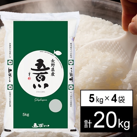 【計20kg/5kgx4袋】新米 令和7年産 長野県伊那産 五百川 白米